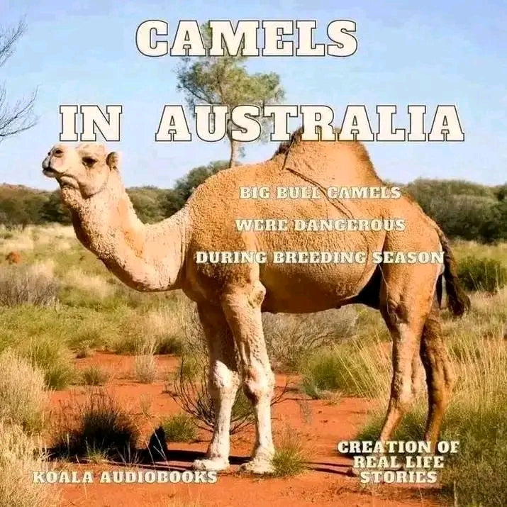 Camels in Australia - Chapter 2 How they Arrived on Ships