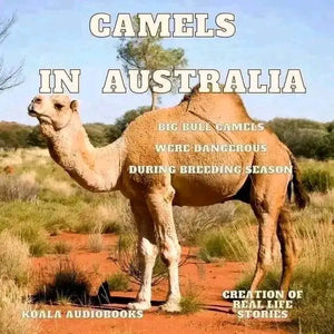 Camels in Australia - Chapter 2 How they Arrived on Ships