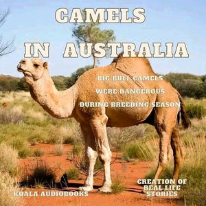 Camels in Australia - New Story - Enjoy
