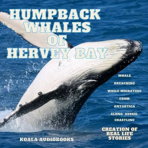 Humpback Whales of Hervey Bay - Coming Soon in 2025