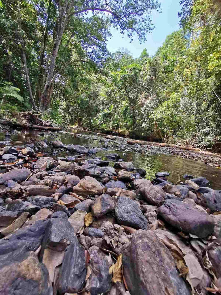 Old Man Fisher Living in the Daintree Rainforest - Have That Good Feeling