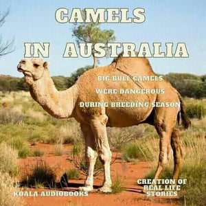 Camels in Australia: From Afghan Cameleers to Desert Roamers