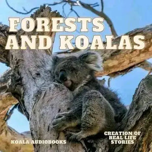 How Deforestation Impacts Koalas and the Hidden Web Below the Forest Floor