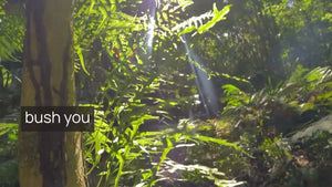 Living in Cape York: The Enchanting Experience with the Short People