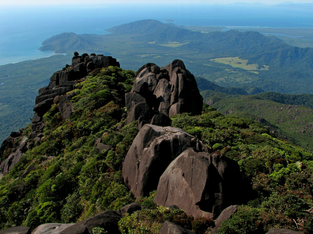 Koala Flash Friday Funny Facts - That's a Big Ferkin Mountain 😲