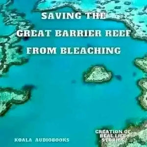 Protecting Coral: How We Can Help the Great Barrier Reef