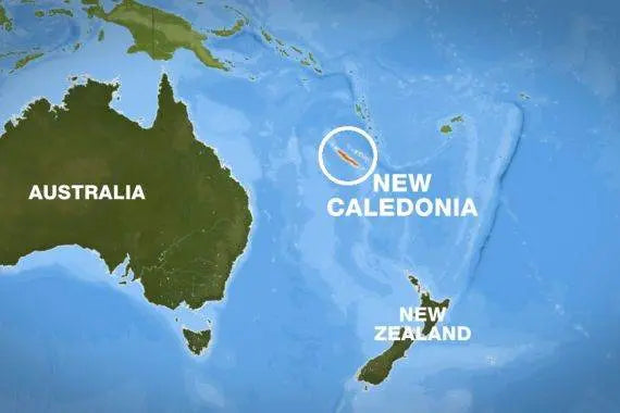 My Grandfather Escaped his Homeland of New Caledonia to Escape the French Laws