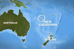My Grandfather Escaped his Homeland of New Caledonia to Escape the French Laws